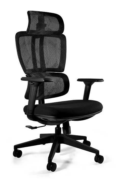 Fotel biurowy, Ergonomiczny, komfortowy, czarny - Pesponet Kielce